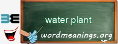 WordMeaning blackboard for water plant